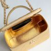 chanel 25c vanity bag