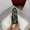 DIOR Promenade Pouch with Chain