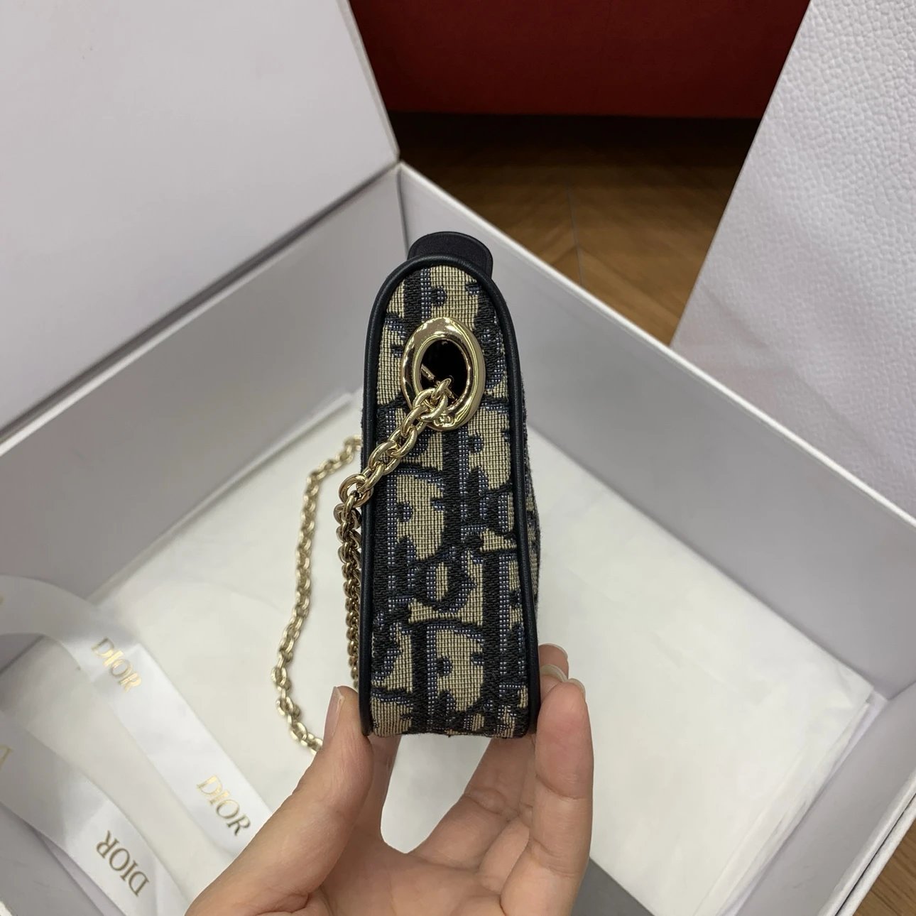 IMG_0882 DIOR Promenade Pouch with Chain - 图片 4