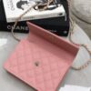 CHANEL 25C Caviar chain backpack