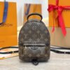 LV Palm Springs Mini M44871