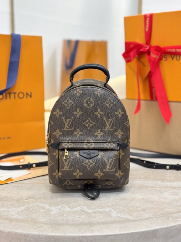LV Palm Springs Mini M44871