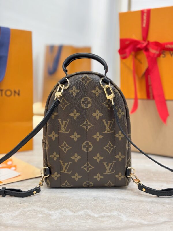 LV Palm Springs Mini M44871