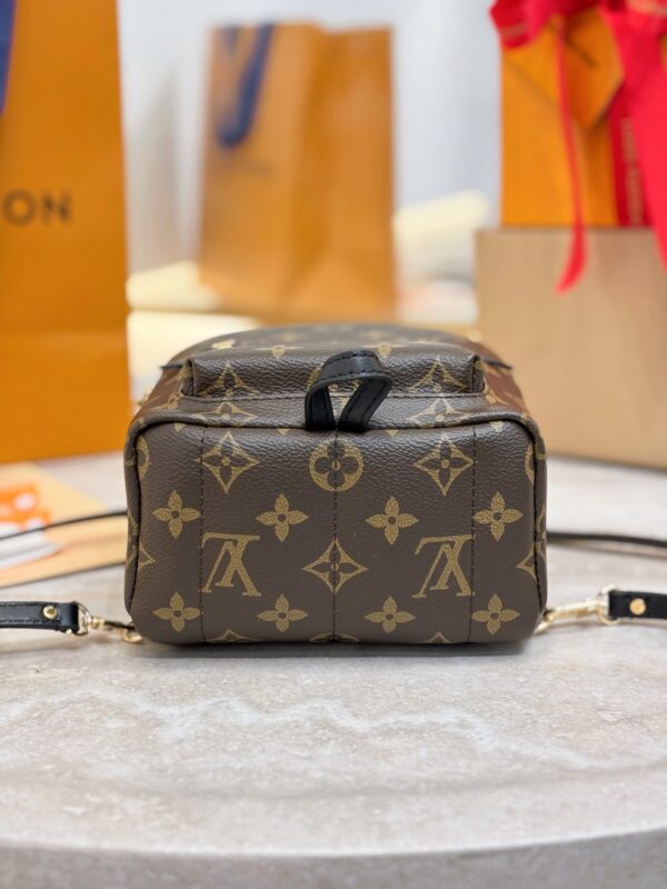 LV Palm Springs Mini M44871