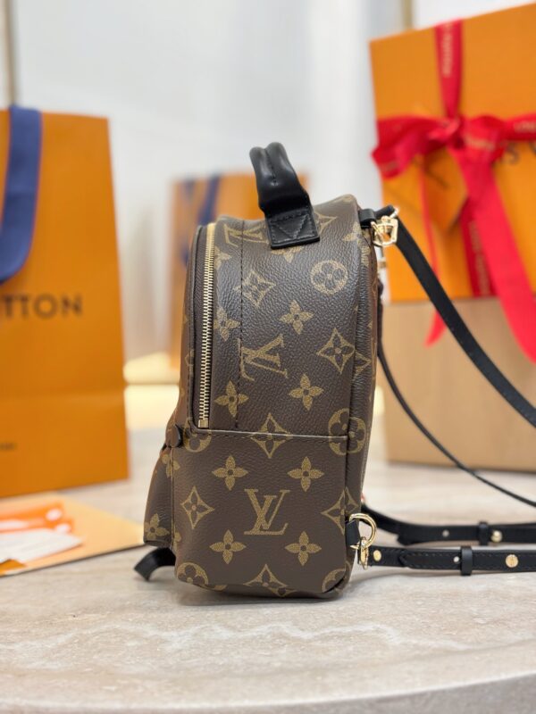 LV Palm Springs Mini M44871