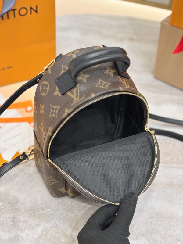 LV Palm Springs Mini M44871