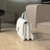 CHANEL Clutch With Chain Handle bag