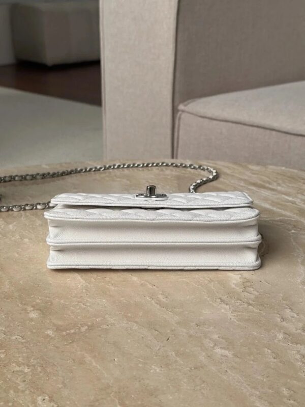 CHANEL Clutch With Chain Handle bag
