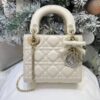Mini Lady Dior Bag with Chain Craie Cannage Lambskin