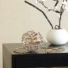 CHANEL Gold Metal Strass Crystal Sphere Minaudiere Clutch