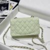 CHANEL Mini Classic Handbag Caviar Leather 20CM-Curated Rare Colors
