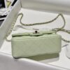 CHANEL Mini Classic Handbag Caviar Leather 20CM-Curated Rare Colors