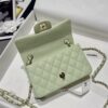 CHANEL Mini Classic Handbag Caviar Leather 20CM-Curated Rare Colors