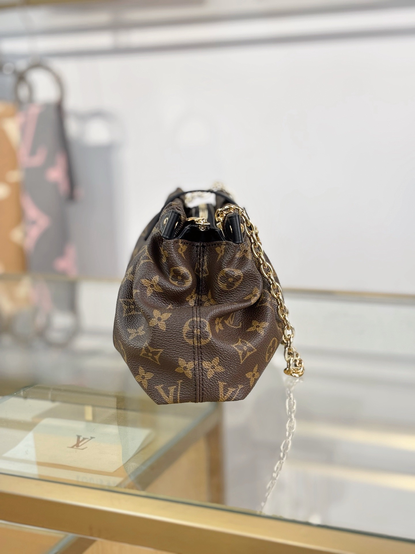 IMG_3172 GOYARD Bohème MINI Hobo - 图片 8