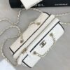 CHANEL Clutch With Chain