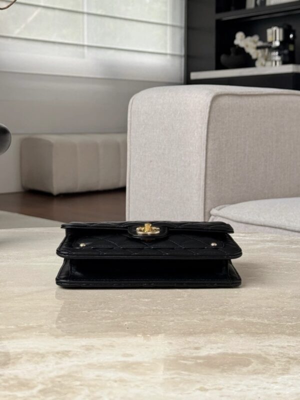 CHANEL Clutch with chain