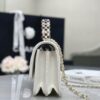 CHANEL Pearl-Embellished WOC Flap Bag