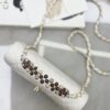 CHANEL Pearl-Embellished WOC Flap Bag