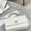 CHANEL Pearl-Embellished WOC Flap Bag