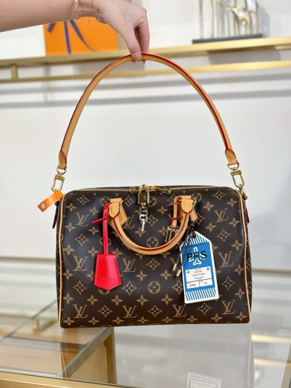 LV Speedy Soft 30 Crafty M11945