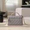 CHANEL 26P Twist Crystal Vanity Bag