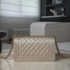CHANEL Le Boy 25 Champagne Gold Bag