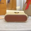 LV Vanity Chain Pouch-Raffia Collection