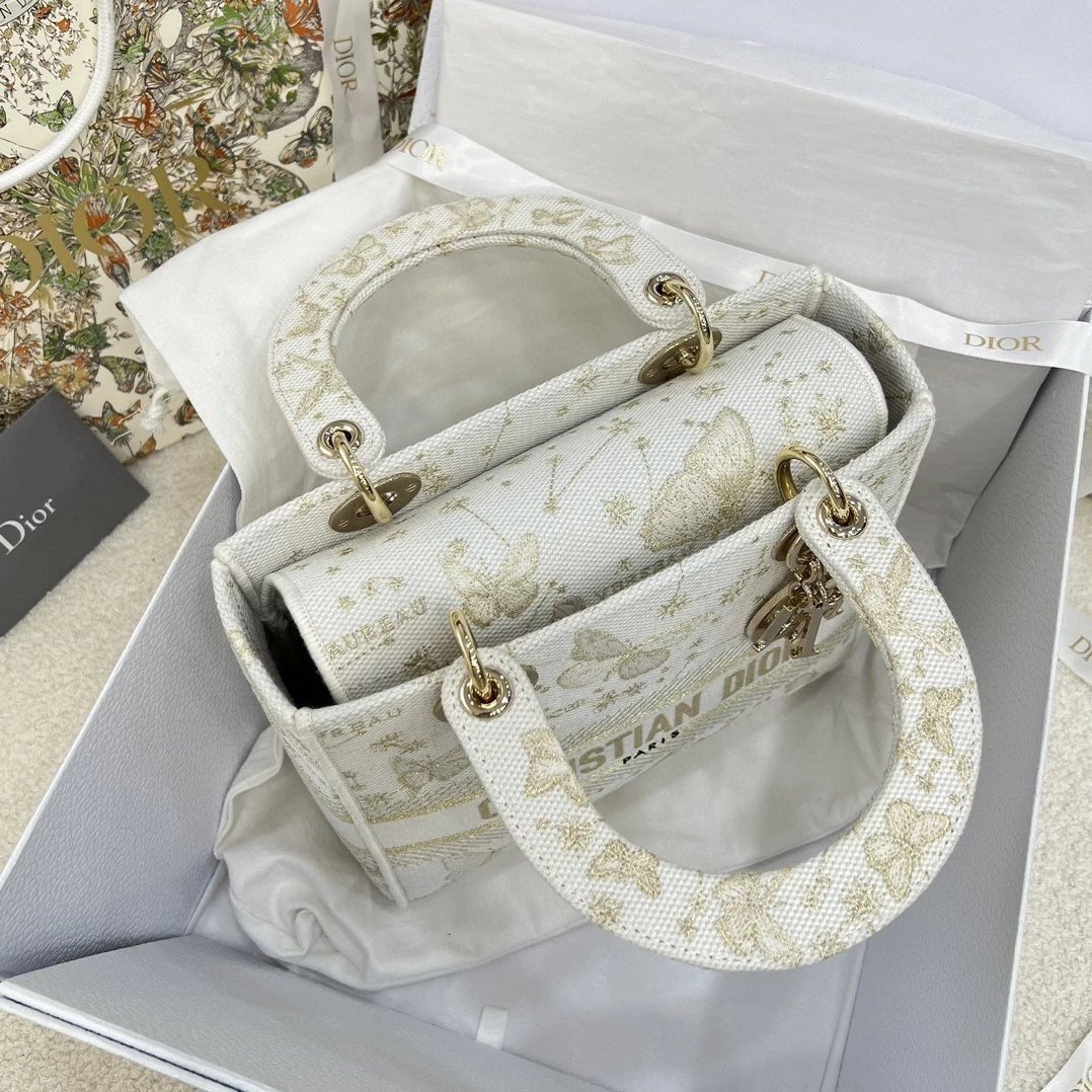 IMG_5156 DIOR Lady D-Lite Butterfly Zodiac - 图片 6
