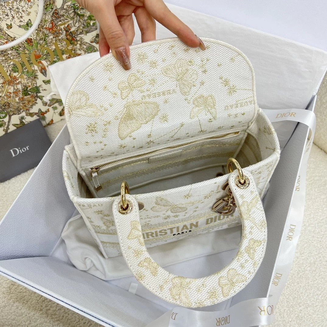 IMG_5160 DIOR Lady D-Lite Butterfly Zodiac - 图片 7