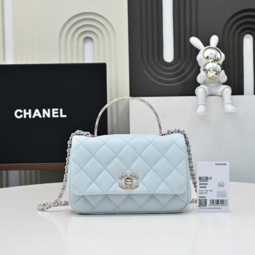 IMG_5238 CHANEL 25S Cococrush handle handbag