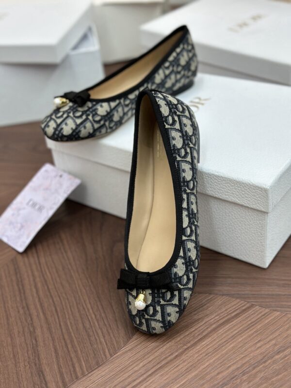DIOR Ballet Flat Cotton Embroidered