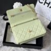 CHANEL WOC