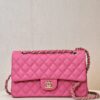 CHANEL Classique Flap Medium Handbag Champagne Gold Hardware