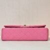 CHANEL Classique Flap Medium Handbag Champagne Gold Hardware