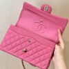 CHANEL Classique Flap Medium Handbag Champagne Gold Hardware