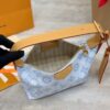 LV Nano Speedy Other Monogram Canvas