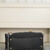 CHANEL 25bag Braided Black Raffia and White Calfskin
