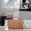 CHANEL 25B Mini Flap Bag with CC Top Handle