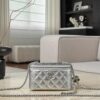 CHANEL Vanity MINI Flap Bag Silver