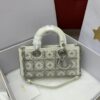 DIOR Lady D-joy Multicolor Bead Embroidery