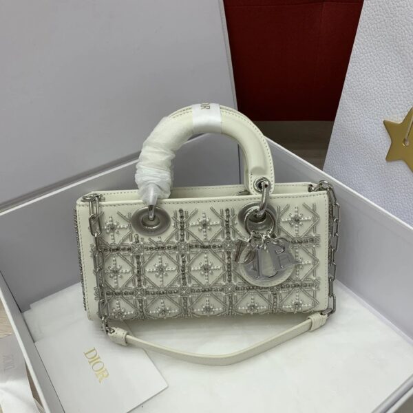 DIOR Lady D-joy Multicolor Bead Embroidery