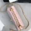 CHANEL Classic WOC with Double Gold Ball Charm