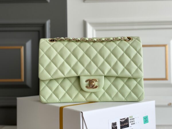 CHANEL Classique Flap Medium Handbag Caviar Leather