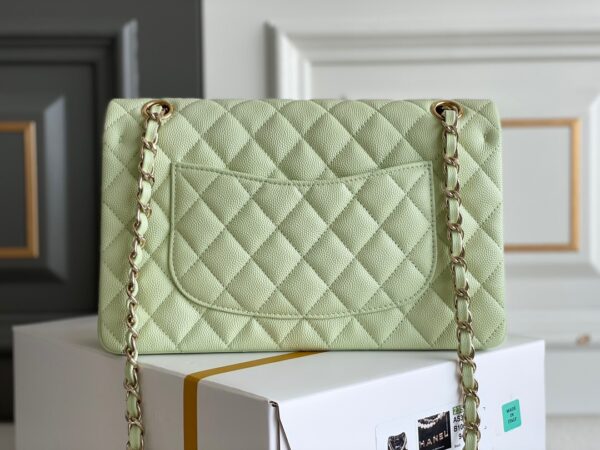 CHANEL Classique Flap Medium Handbag Caviar Leather