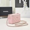 CHANEL Vanity Bag Pink Calfskin