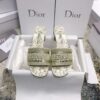DIOR lady silppers