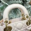 Mini Lady Dior Bag with Chain Two-Tone Pink Cannage Lambskin