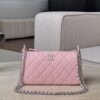 CHANEL Clutch with Chain Bag