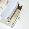 chanel classic flap cf with gold ball charm – 20cm