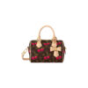 LV X TM Cherry Collection – Brown Monogram C S D Ca S 100x100
